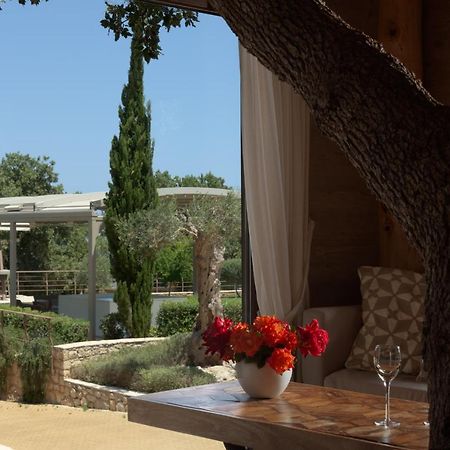 Stolidi Mou Treehouse Villa Acipópulo Kültér fotó